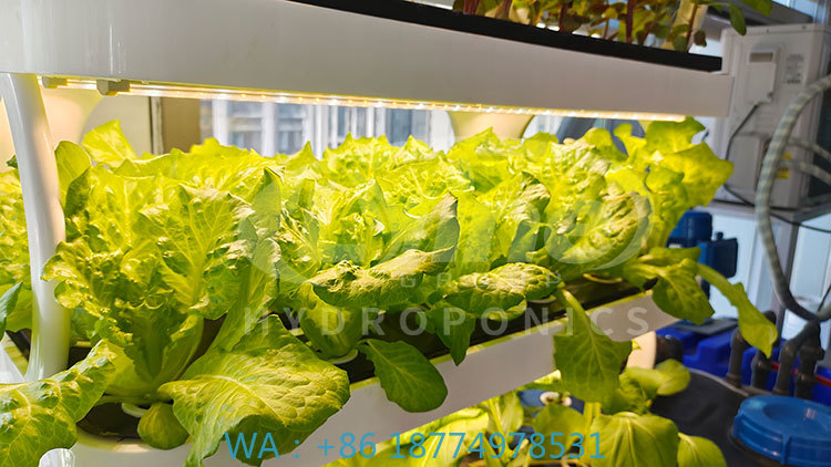 Agriculture Farming System - c Macchina agricola per coltivare la