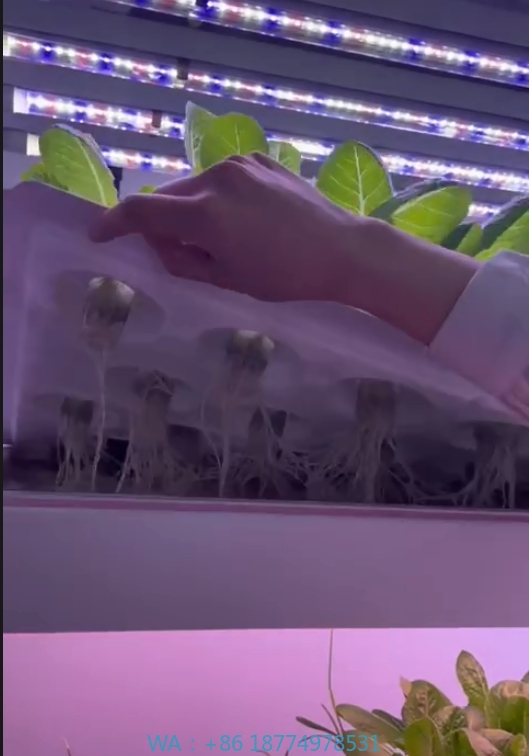 f Attrezzature agricole per se - Agriculture Farming System recensione e prezzo
